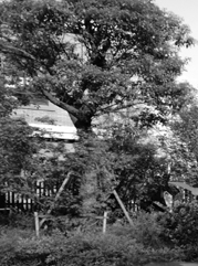 天门注册公司